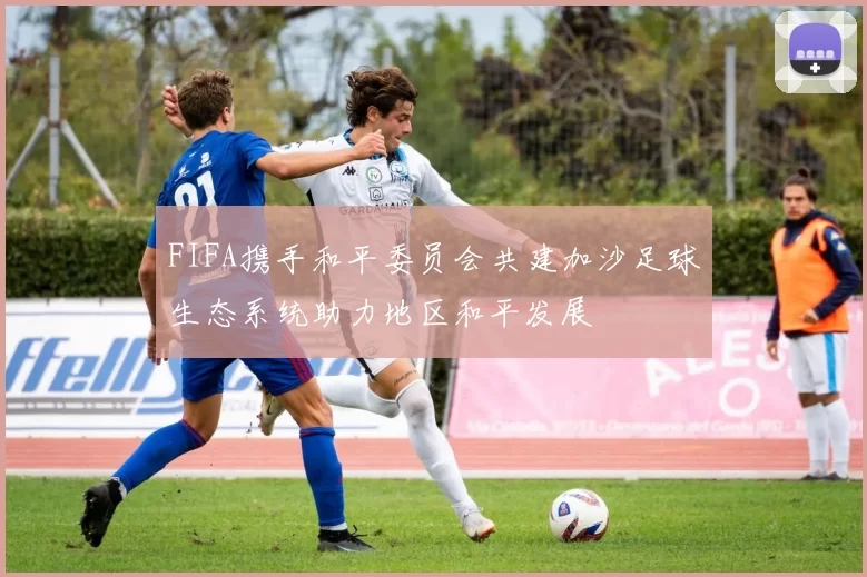 FIFA携手和平委员会共建加沙足球生态系统助力地区和平发展